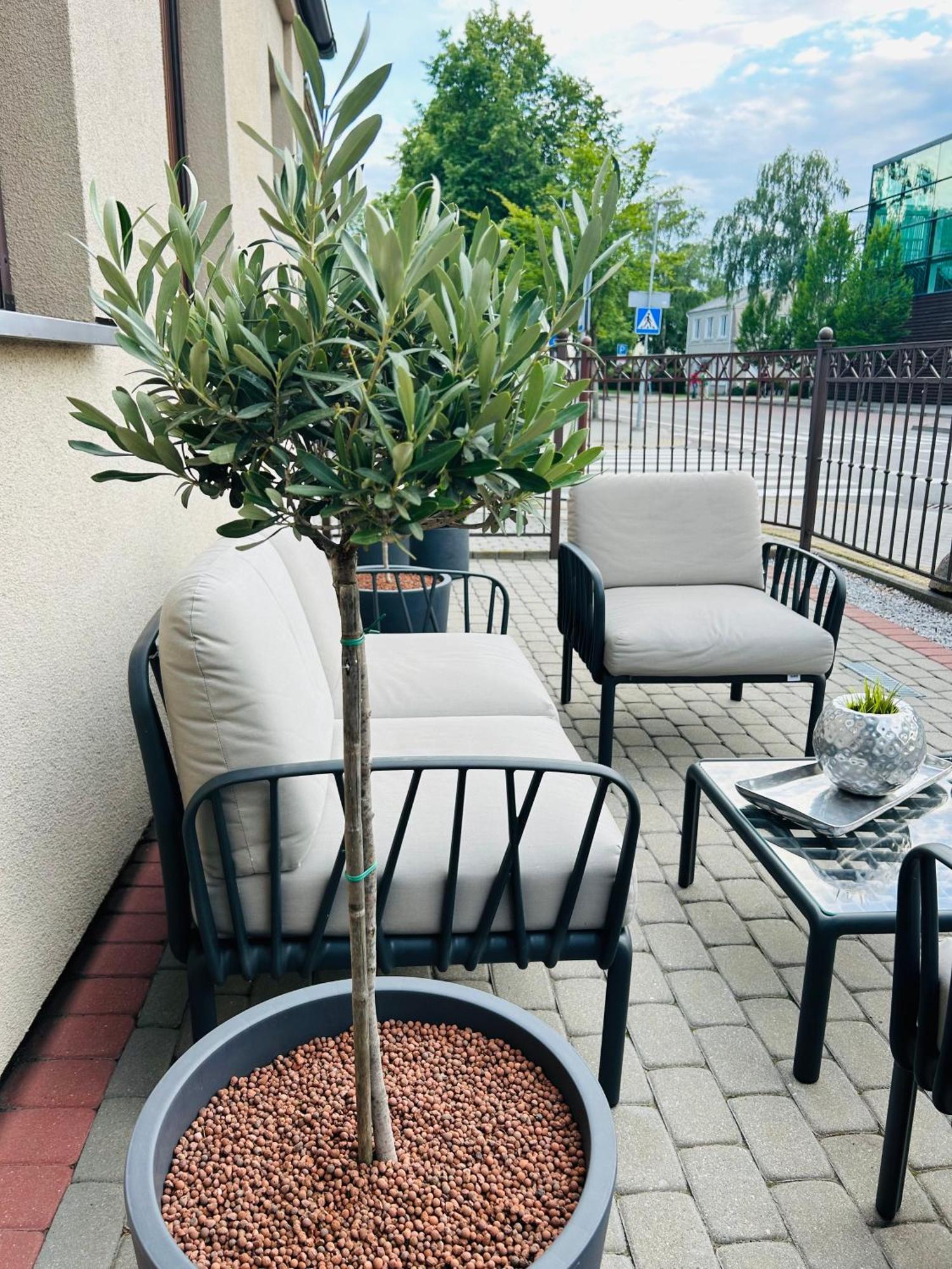 Astos Vila Palanga Bagian luar foto